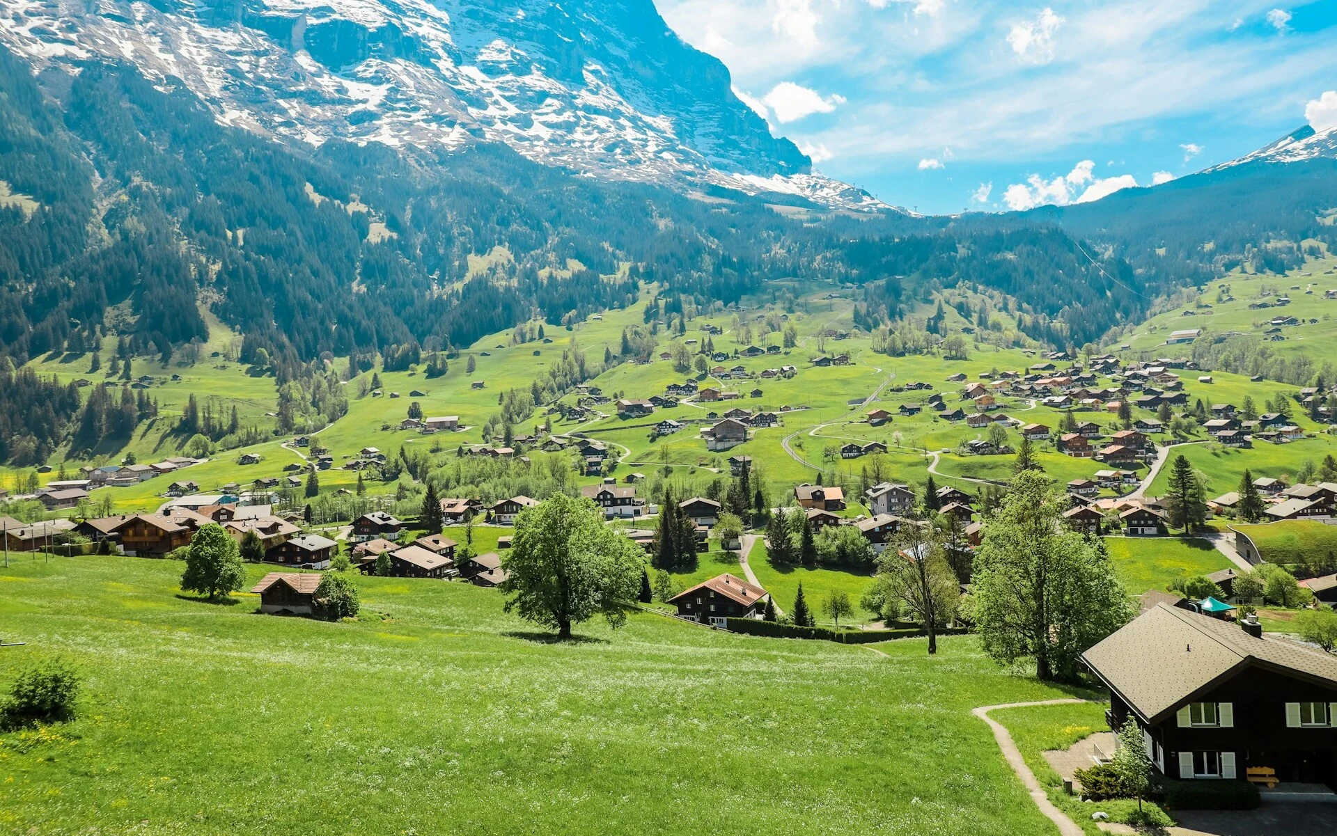 Grindelwald scenic view